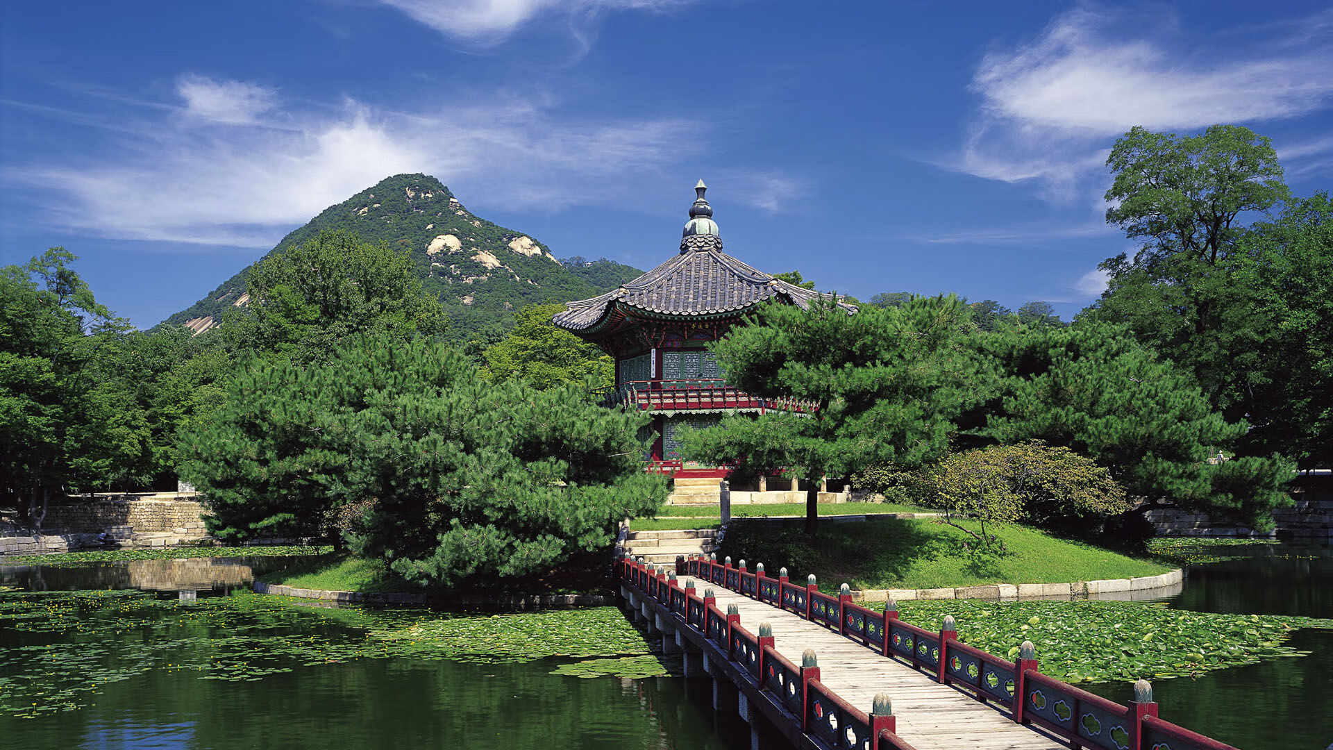 乐鱼体育 vip注册-亚洲杯中国青年队战胜 球员配合默契提升，中国足球亚青赛