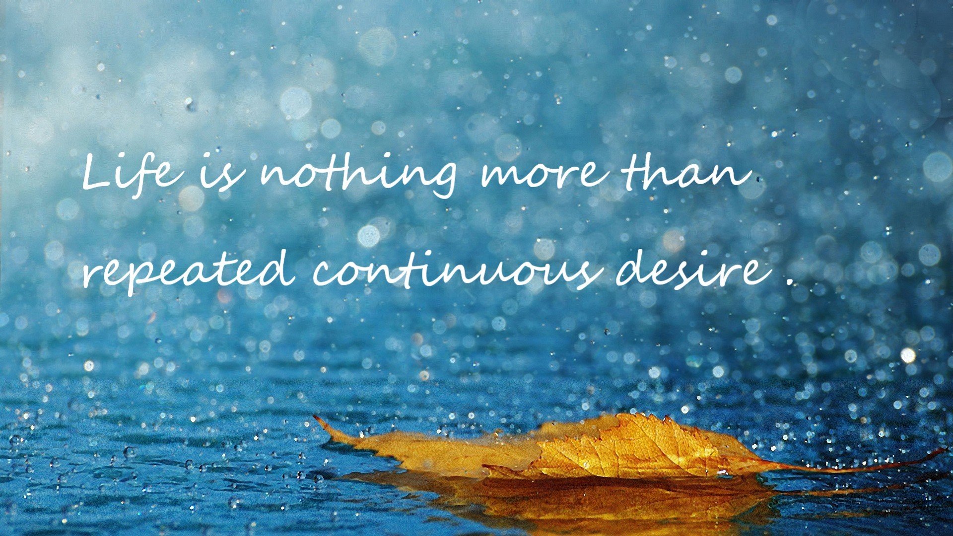 乐鱼体育在线登陆-后备队表现出彩,未来有望持续补强一线,后备队伍建设方案