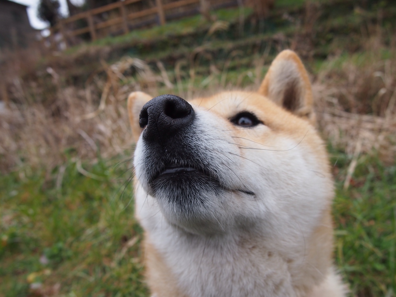 乐鱼体育在线登陆-奥预赛中国女足战胜 球迷支持球队努力，中国女足球奥运会预选赛赛程时间表
