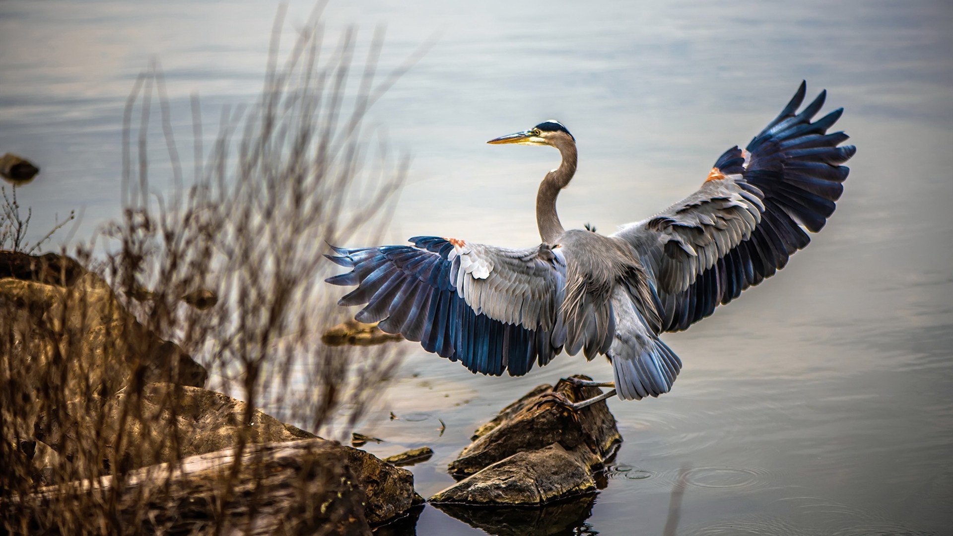 乐鱼官网-世界杯夺冠梦：英雄们的精彩表现！，世界杯夺冠2021