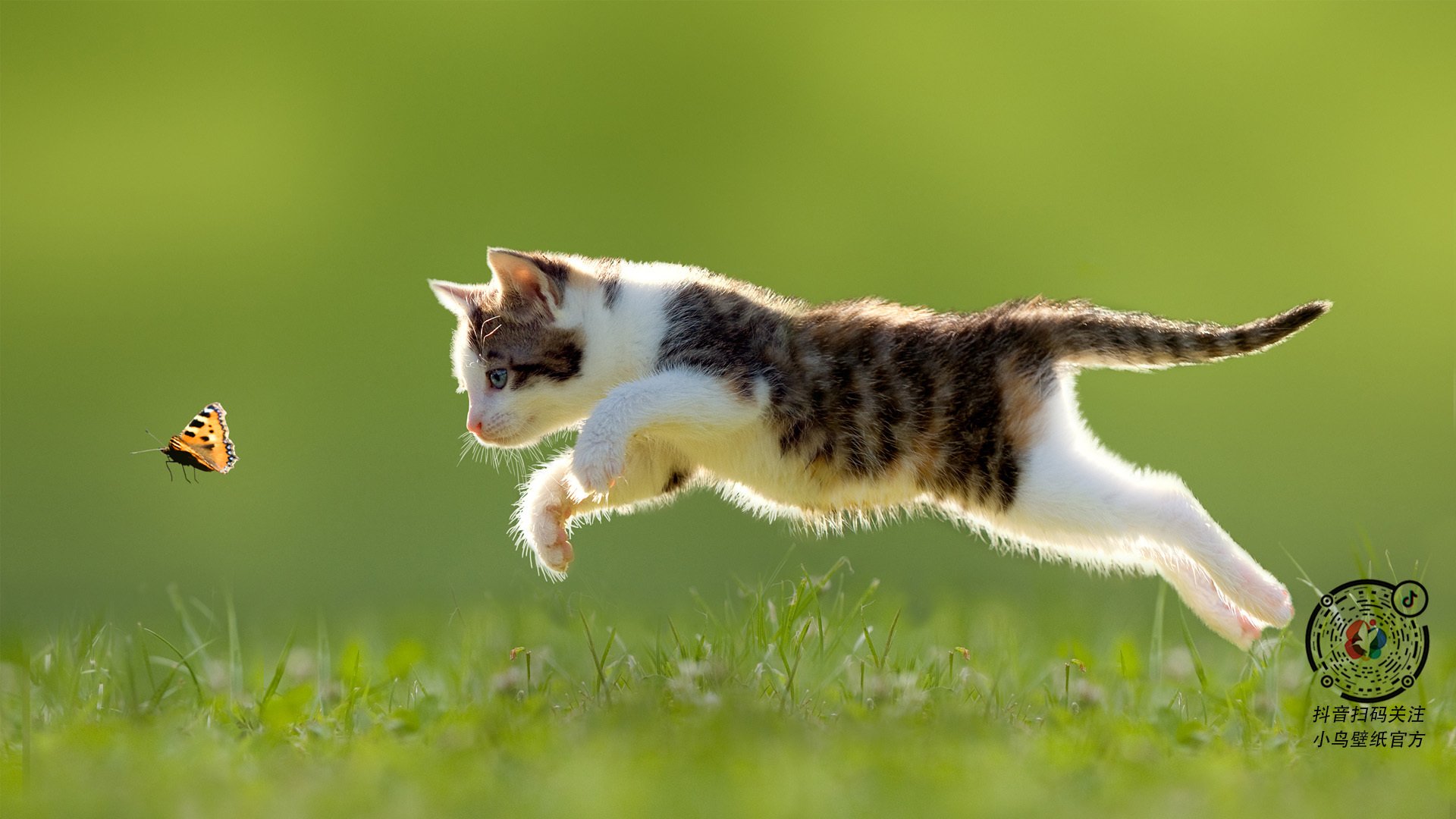 乐鱼官网-乌干达男篮在非洲预赛中奋勇争先,迈向国际舞台新篇章,乌干达篮球比赛