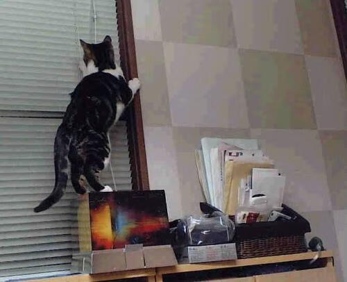 乐鱼app下载-切拉苏奥洛蓄势待发 期待下一个突破,切洛拉高足球俱乐部