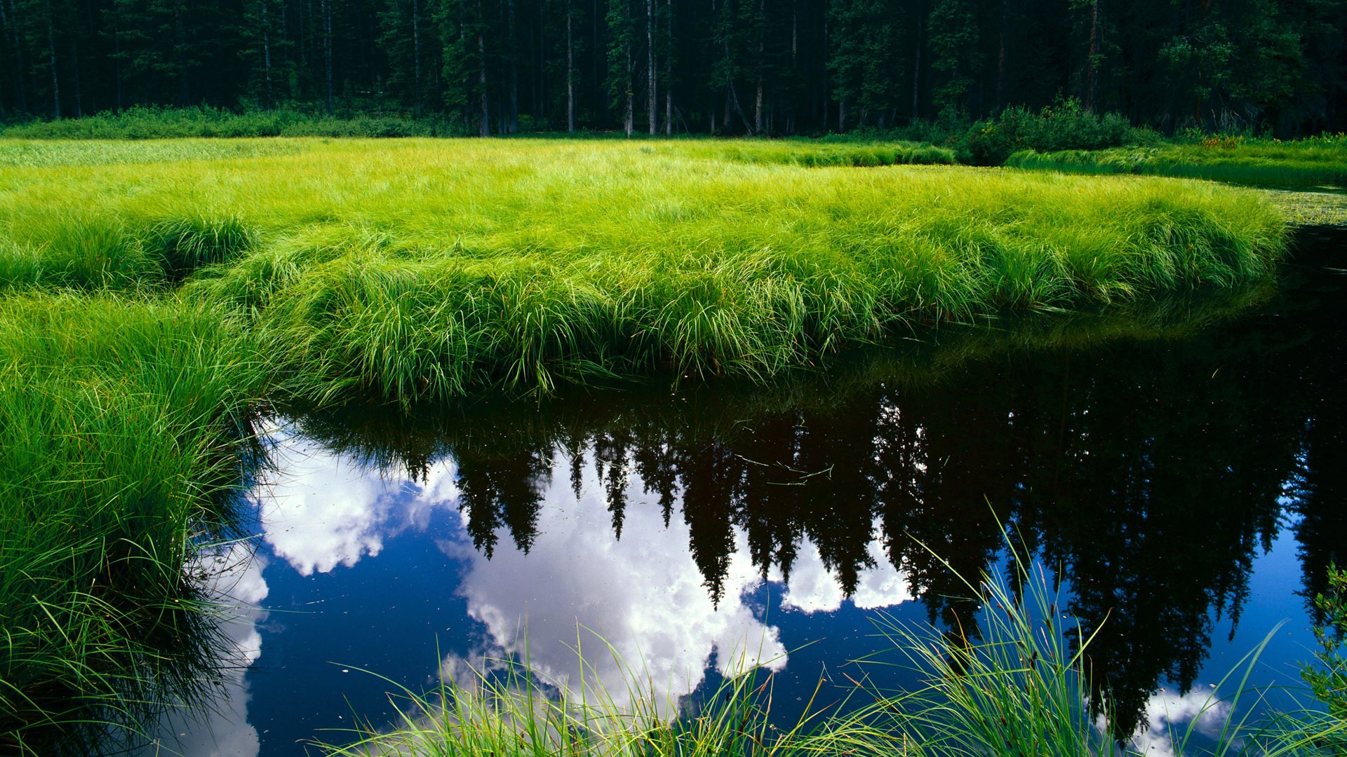 乐鱼体育官网-城市联赛总决赛落幕冠军队实现三连冠展现稳定团队实力,城市联赛王者